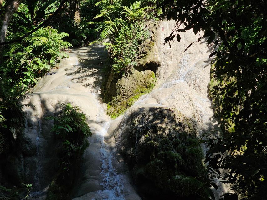 Chiang Mai: Sticky Waterfall Half-Day Tour & Hotel Transfers - Si Lanna National Park: where the forest makes the climb feel worthwhile