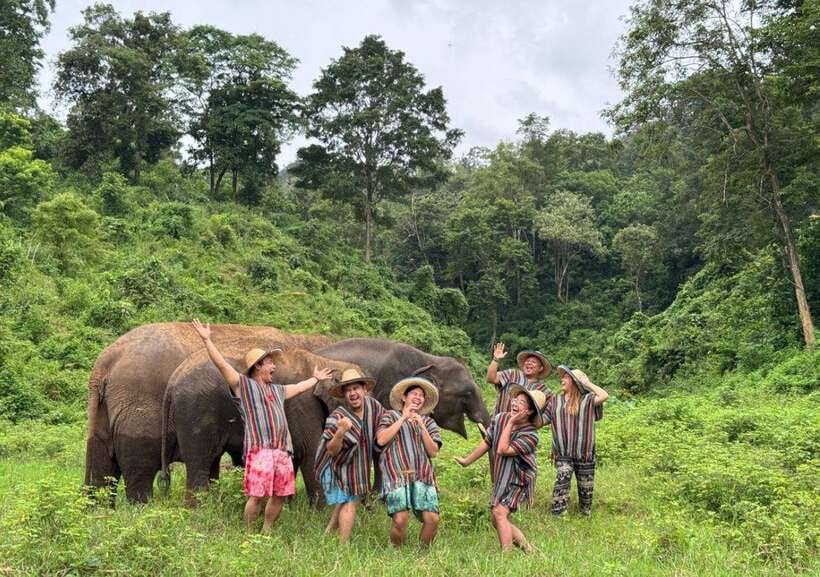 Chiang Mai | TeeTee Elephant Home Elephant Care Half-Day - Key highlights at a glance