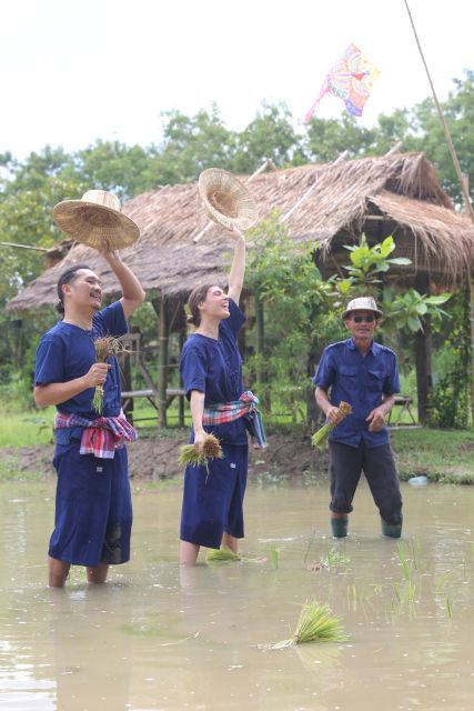 Chiang Mai: Thai Buffalo and Rice Planting Experience - Practical Tips Before You Go (So You Can Enjoy It More)