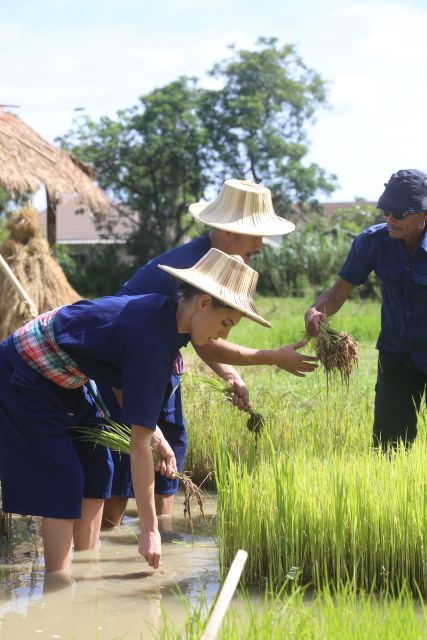 Chiang Mai: Thai Buffalo and Rice Planting Experience - The Tour Rhythm: How 150 Minutes Stays Fun Instead of Tiring