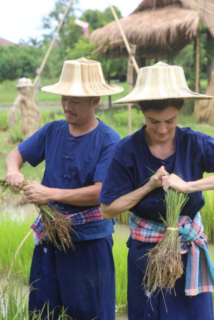 Chiang Mai: Thai Buffalo and Rice Planting Experience - Lunch on the Farm: Green Chicken Curry and Mango Sticky Rice