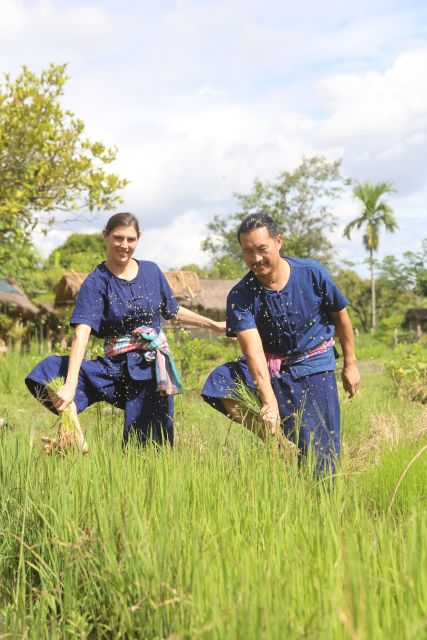 Chiang Mai: Thai Buffalo and Rice Planting Experience - The Red Taxi Pickup Plus What It Means for Your Day
