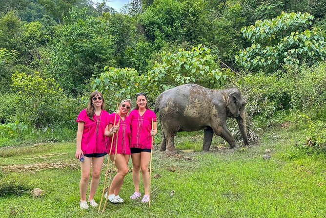 Chiang Mai: Thai Cooking Class and Elephant Sanctuary Observation - Key things to know before you go