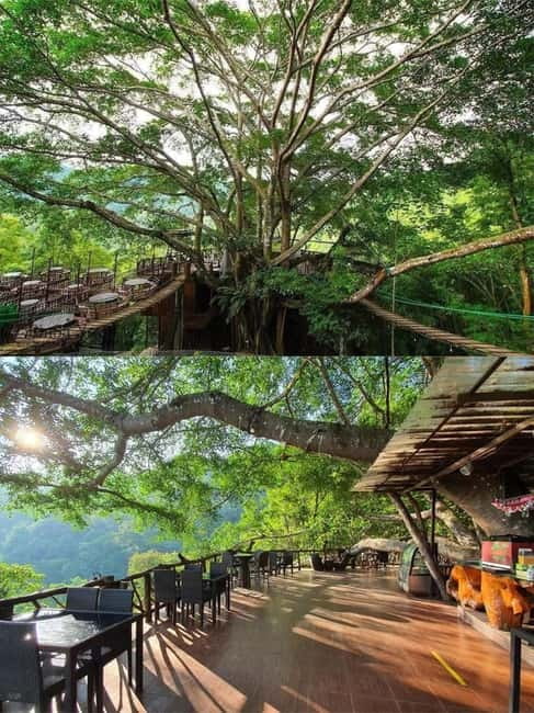 Chiang Mai: The Giant Café & Mae Kampong Village Day Trip - Mae Kampong Village: wooden houses, temple time, and local everyday life