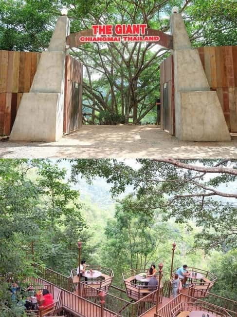 Chiang Mai: The Giant Café & Mae Kampong Village Day Trip - Waterfall break in the forest: your short walk, your cool-down
