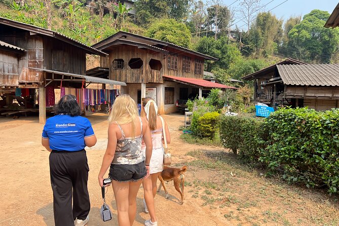 Chiang Mai to Doi Inthanon Full Day Shared Tour - Who this tour suits best (and who might want to rethink it)