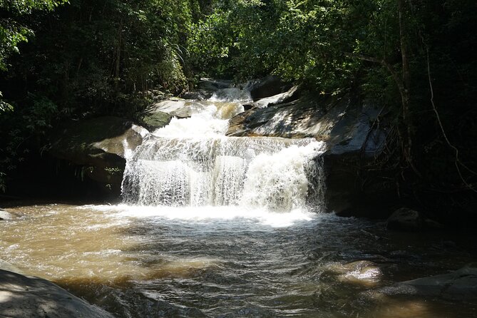 Chiang Mai Trekking Tour :Full day (no rafting) - Key Things That Make This Tour Worth Your Time