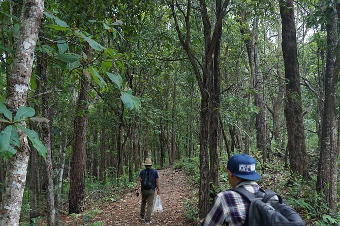 Chiang Mai Trekking Tour :Full day (no rafting) - Jungle Trekking: Mountain Paths, Nature Breaks, and Waterfall Time