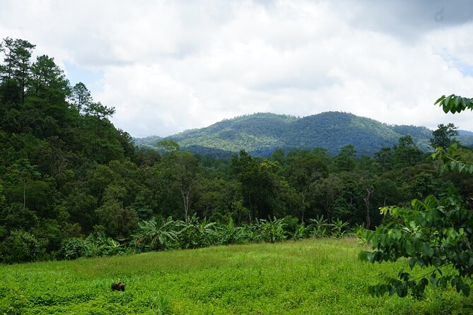 Chiang Mai Trekking Tour :Full day (no rafting) - Who This Tour Fits Best (and Who Might Prefer Something Else)