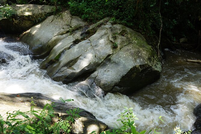 Chiang Mai Trekking Tour :Full day (no rafting) - Should You Book This Chiang Mai Trekking Tour?