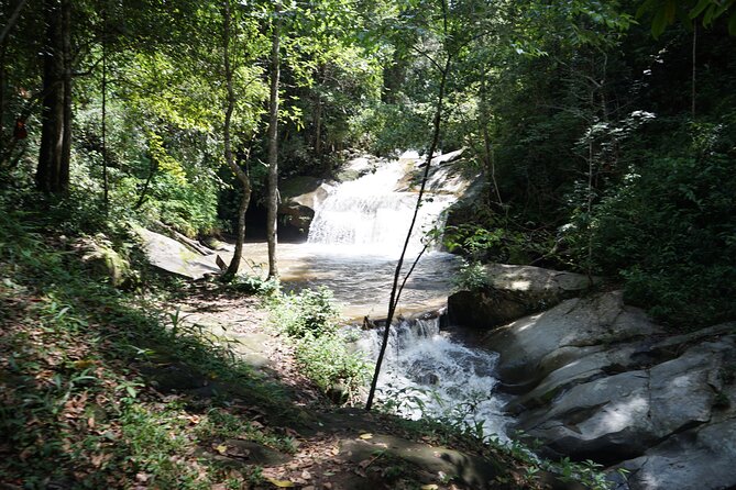 Chiang Mai Trekking Tour :Full day (no rafting) - Elephant Pride Sanctuary: Education, Feeding, and a Real Sense of Care