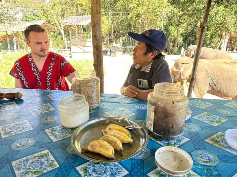 Chiang Mai Untouched Elephant: Nature Walk & Waterfall Trek - Lunch That Feels Local, Not Generic