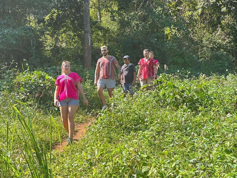 Chiang Mai Untouched Elephant: Nature Walk & Waterfall Trek - Group Size, Pace, and How to Prepare Your Expectations