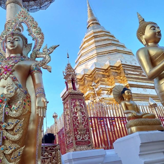 Chiang Mai: Wat Pha Lat & Wat Phra That Doi Suthep Tour - Why This Evening Temple Route Works So Well in Chiang Mai