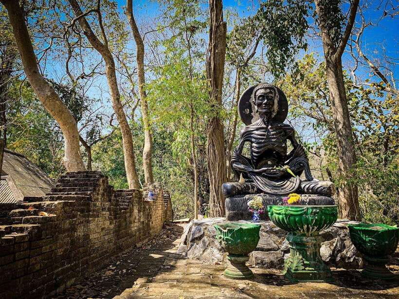 Chiang Mai:Wat Phra That Doi Suthep & Wat Umong Evening Tour - Wat Umong Suan Puthatham: The Forest Temple Escape and the Tunnel Temple Walk