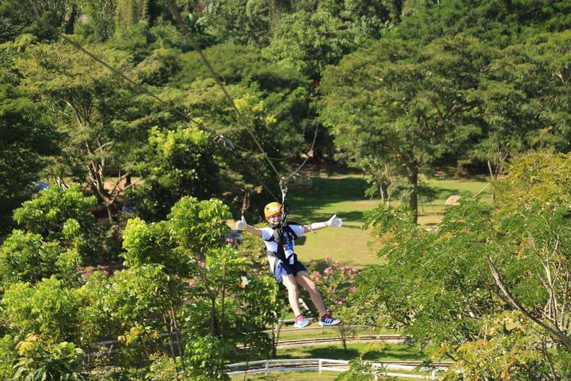 Chiang Mai: Zipline & High Rope Park with Lunch & Transfer - The tiny train, flower field, and sheep farm break you will actually enjoy