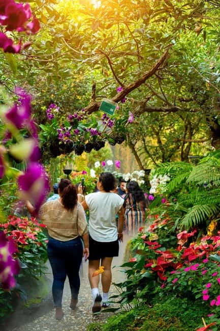 Chiang Rai: 3 Temples, Long Neck Village & Lalitta Café - Chiang Mai to Chiang Rai, you start with real travel time