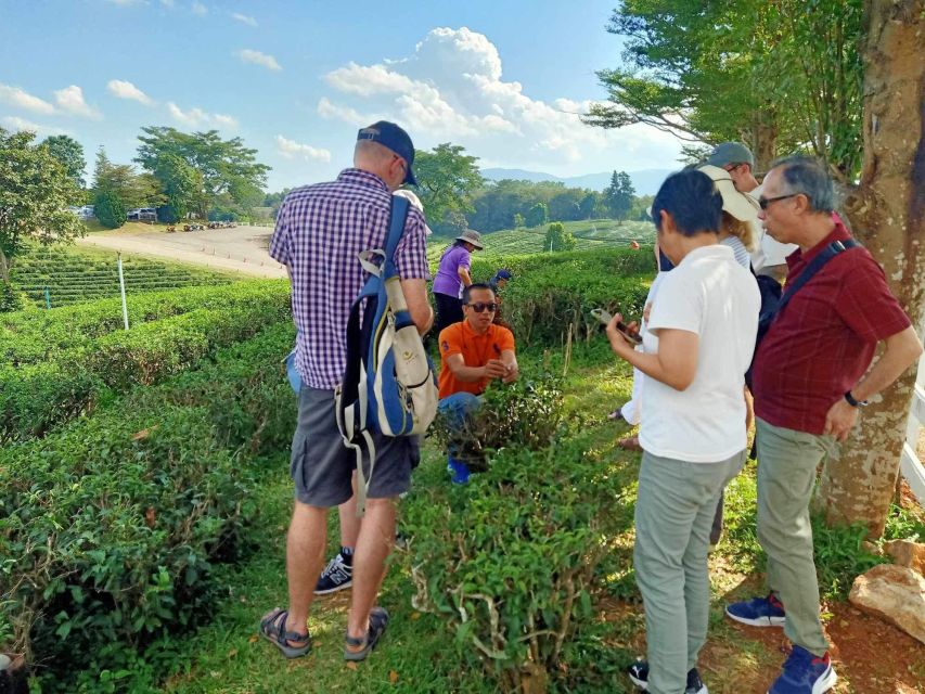 Chiang Rai Guide: Popular 7places 3Colors ,Golden Triangle - Long Neck Tribe Village: A Brief Cultural Visit With Big Reality Behind It