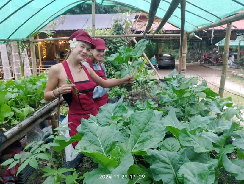 Chiang Rai:Lanna Home Cooking Class at Give Green Farm House - What you eat at the end, and how to bring Chiang Rai flavor home