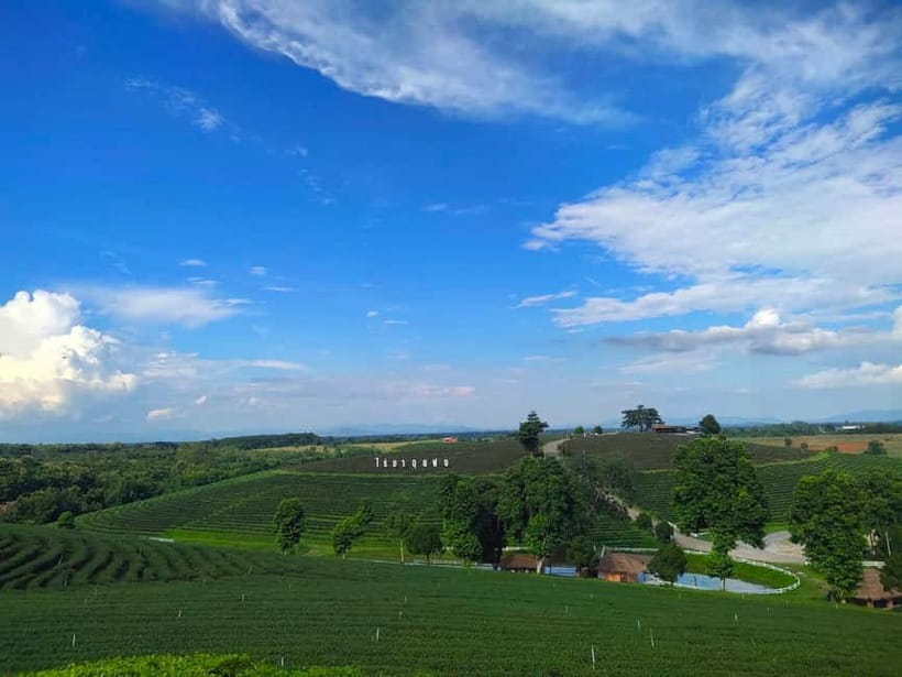 Chiang Rai: Northern Thailand Tour with Golden Triangle - Golden Triangle: where three countries meet, plus the Opium House story