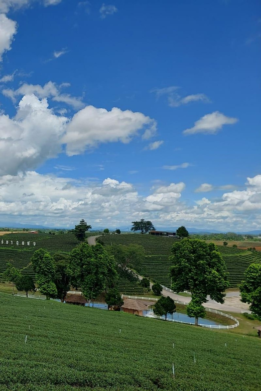Chiang Rai: Top Temples & Signature Attractions ~Free Buffet - Key things to notice before you go