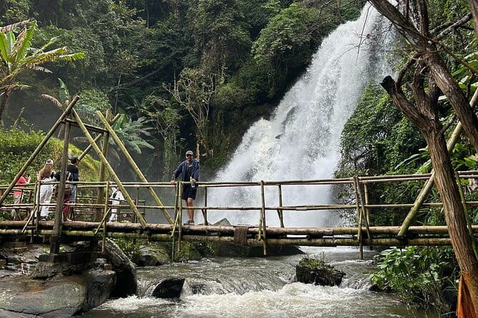 ChiangMai 1DayTour:Elephant Sanctuary,king&queen pagoda,waterfall - Price and value: what $123.49 actually buys you