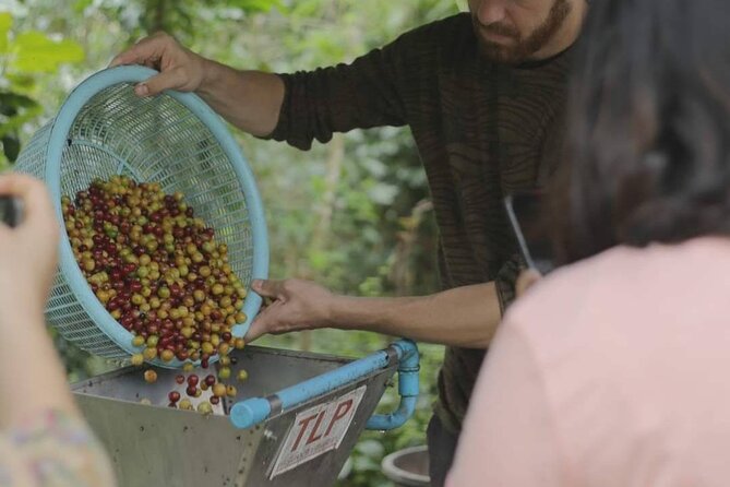 Chiangmai Coffee Farm Tour - FAQ