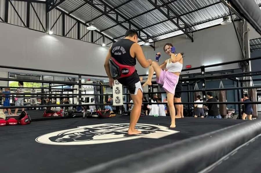 Chiangmai : Muay Thai Training academy - Price and Value: Why $32 Can Be a Strong Deal