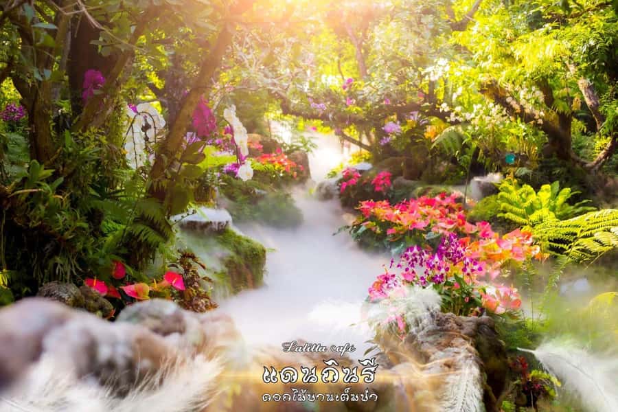Chiangmai to Chiangrai: 3 Temples, Hot Springs& Lalitta Cafe - Lalitta Cafe Timed Visits: 30 Minutes vs 1 Hour