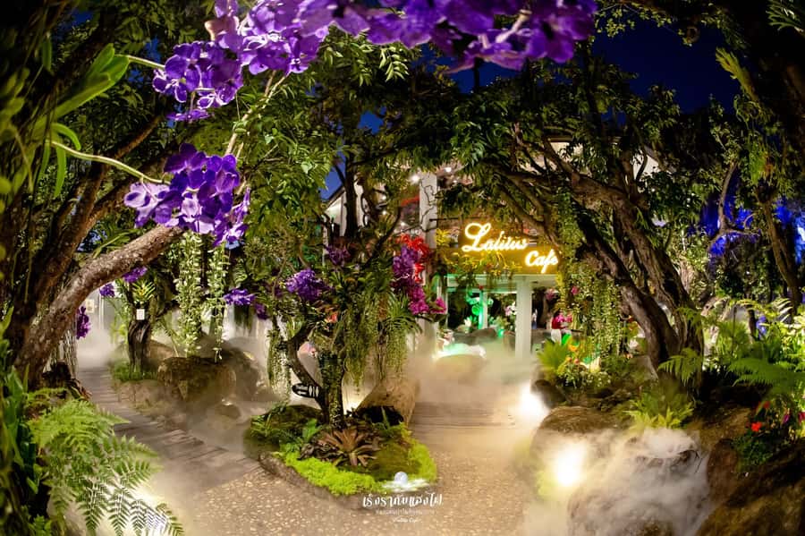 Chiangmai to Chiangrai: 3 Temples, Hot Springs& Lalitta Cafe - Karen Longneck Village Option: What It Adds, and What to Watch