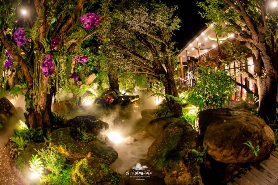 Chiangmai to Chiangrai: 3 Temples, Hot Springs& Lalitta Cafe - The Logistics From Chiang Mai: Early Start, Safe Driving, Late Return