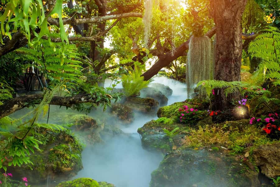 Chiangmai to Chiangrai: 3 Temples, Hot Springs& Lalitta Cafe - Price and Value: What $41 Really Buys, Plus the Real Extras
