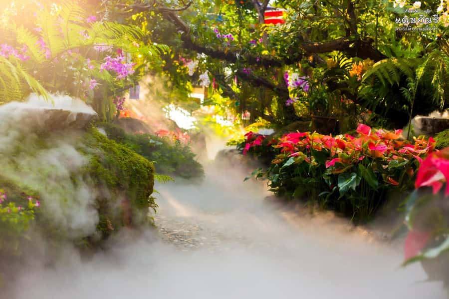 Chiangmai to Chiangrai: 3 Temples, Hot Springs& Lalitta Cafe - FAQ