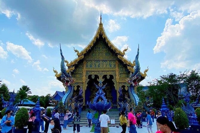 Chiangrai One Day Private Customized Tour from ChiangMai - Singha Park: a nature break with gardens, lakes, and tea fields