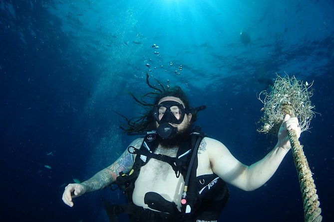 Chumphon Pinnacle-Koh Tao 2 dive trip for certified divers - An 8-hour Koh Samui speedboat day with two underwater locations