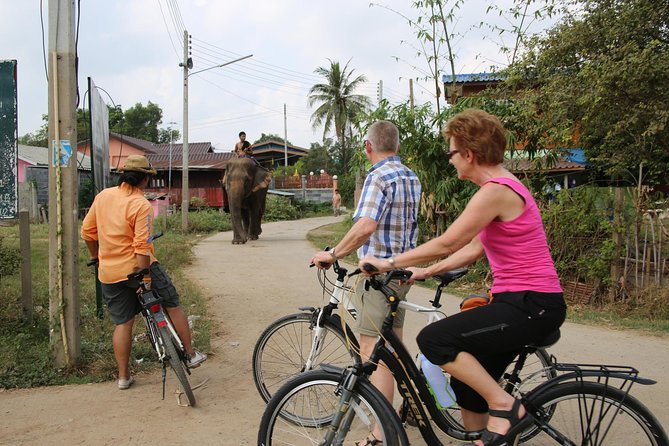 Colors of Ayutthaya Full-Day Bike Tour - Lunch, Water, and How the Day Feels in Real Life