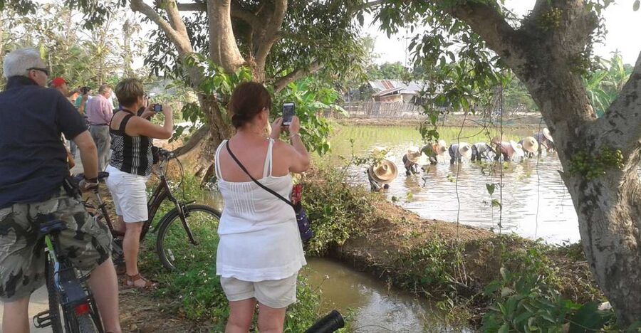 Colors of Chiang Mai Guided Bicycle Tour - Key highlights I’d plan around