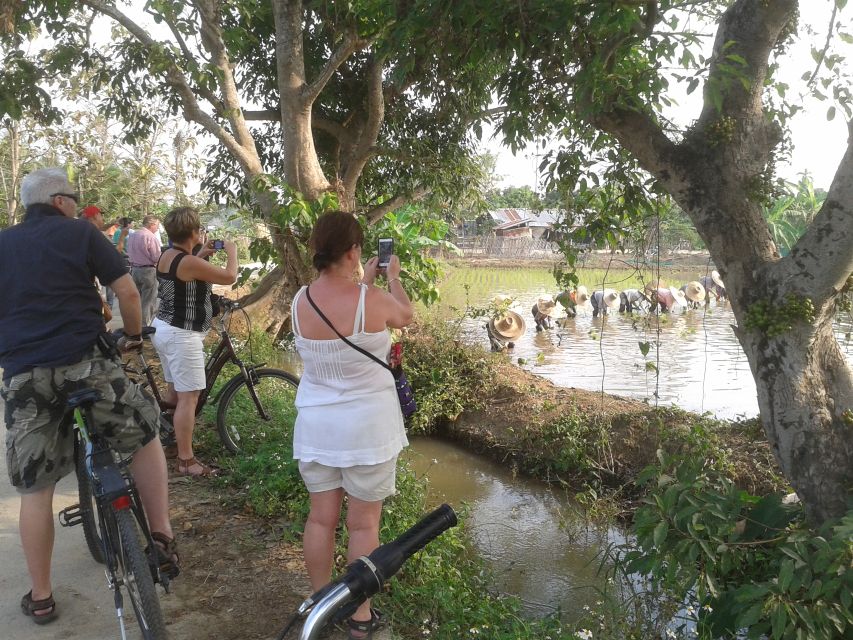 Colors of Chiang Mai Guided Bicycle Tour - A half-day bicycle loop that feels like Chiang Mai beyond the center