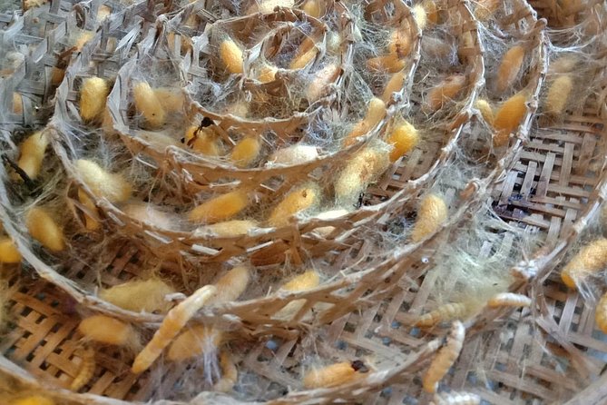 Completed Thai Silk Class Experience - Why this Chiang Mai silk class feels like a real workshop