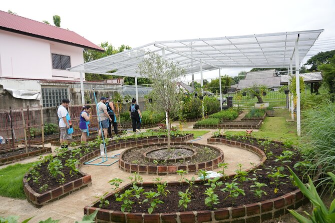 Cooking Class with Organic Farm in Chiang Mai at Mama Noi - Mama Noi’s organic garden: where your ingredients come from