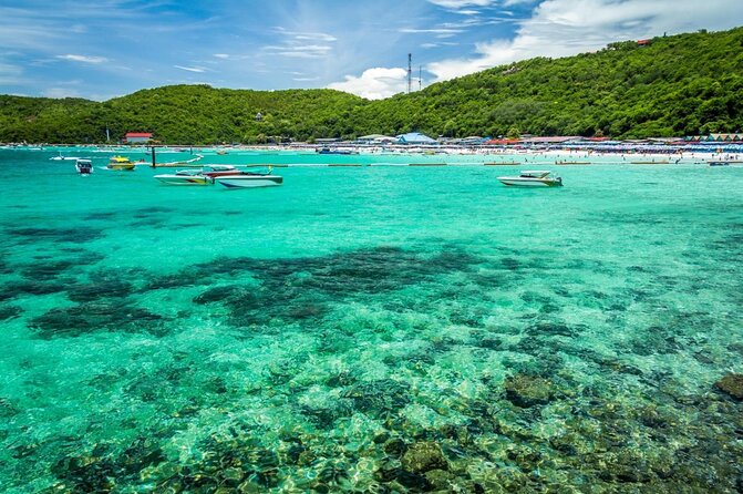 Coral Island Pattaya: Indian Lunch, Transfer (India Travelers) - Key points to know before you go
