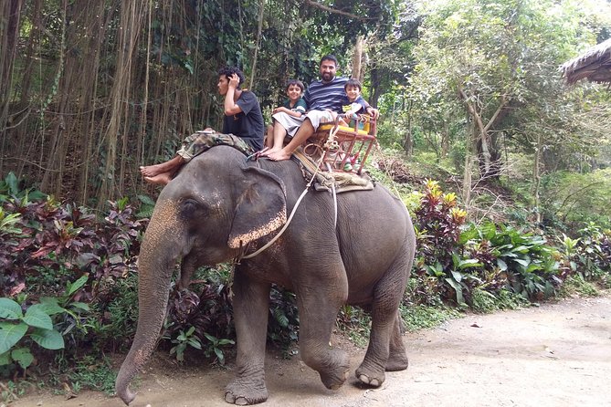 Customized Phuket Tours with Private Driver - When you should think twice
