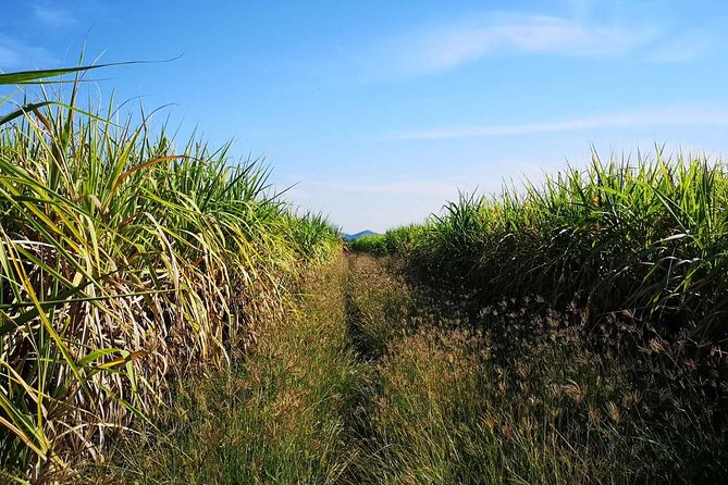 Cycling in rural Kanchanaburi area - The Cycling Part That Makes It Worth Your Time
