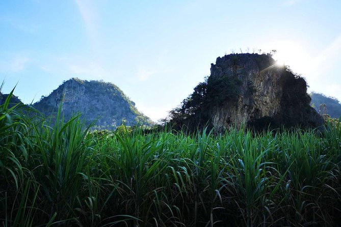 Cycling in rural Kanchanaburi area - The SUP and Thai Lunch Upgrade: When It’s Worth Paying More