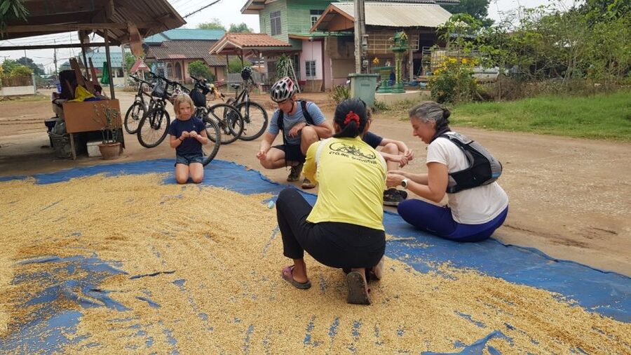 Cycling Sukhothai Full Day Countryside Tour - Farm and Food Stops That Teach You the Farming-to-Table Story