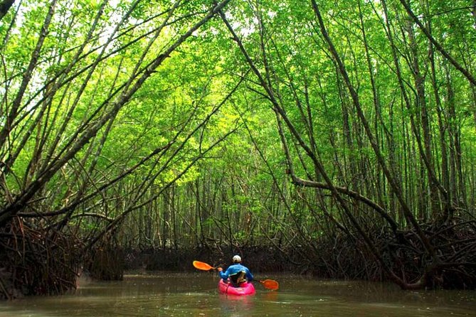 Deep Mangrove and Canyon Kayak Tour in Krabi - Key things you should know before you go