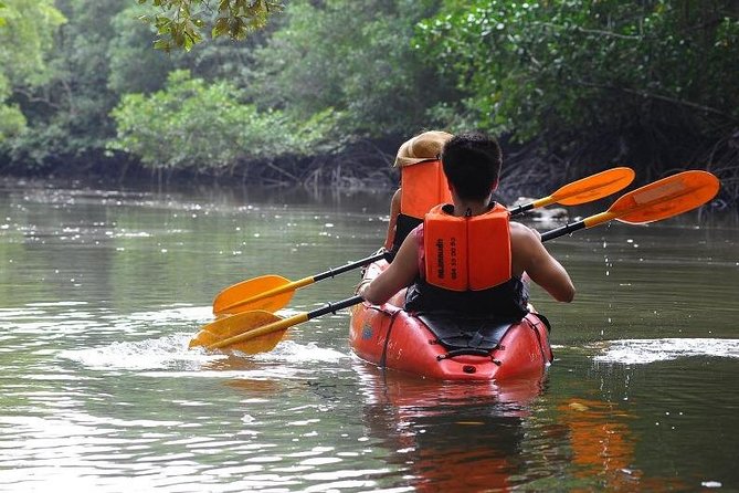 Deep Mangrove and Canyon Kayak Tour in Krabi - How physical is this kayak tour, and who it suits best