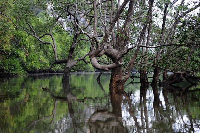 Deep Mangrove and Canyon Kayak Tour in Krabi - Price and value: what $42.35 buys you in real terms
