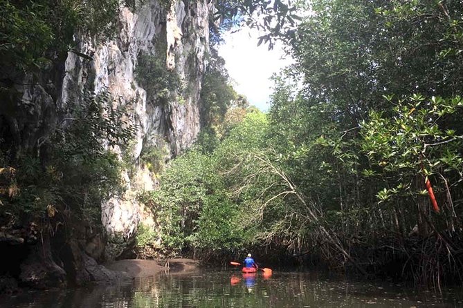 Deep Mangrove and Canyon Kayak Tour in Krabi - Limestone cliffs, lagoons, and jungle canyon: what the paddle route feels like