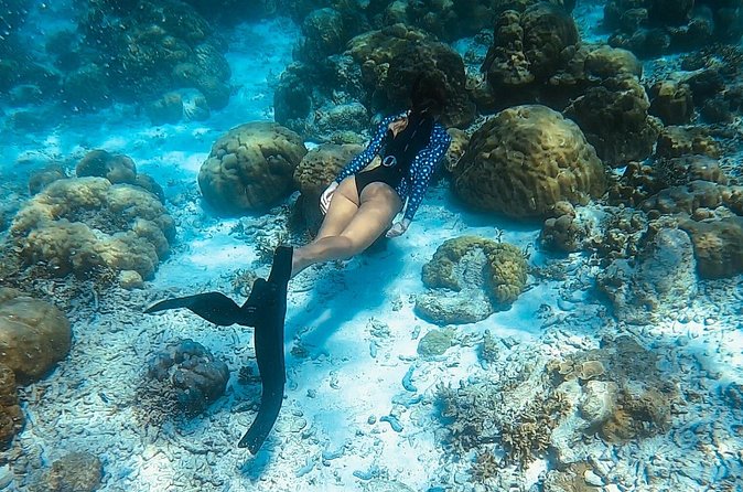 Discover Freediving in Koh Lanta, Thailand - Progression and Certification, Earned Through How You Perform